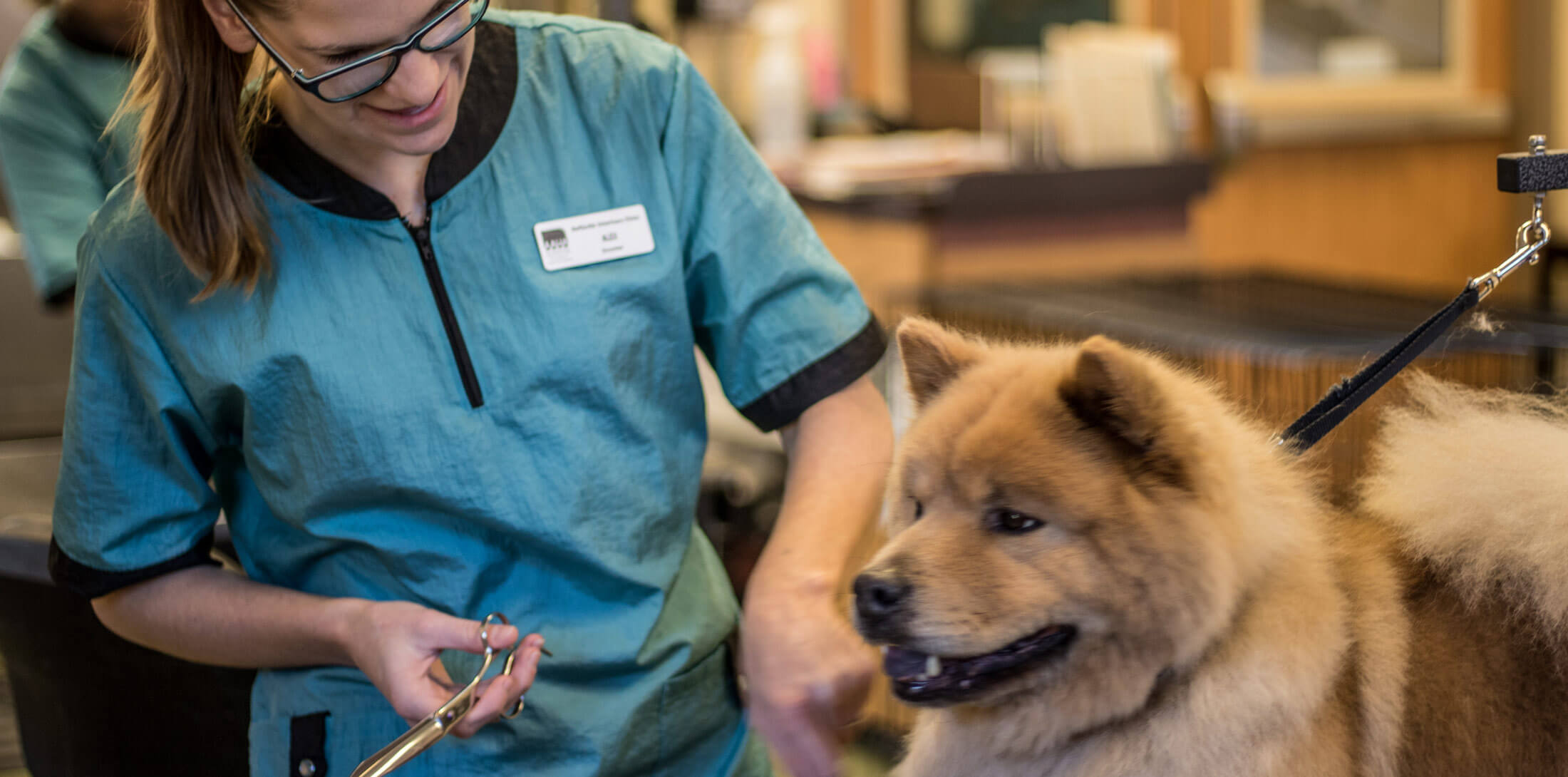 Schedule Your Appointment Today Neffsville Veterinary Clinic