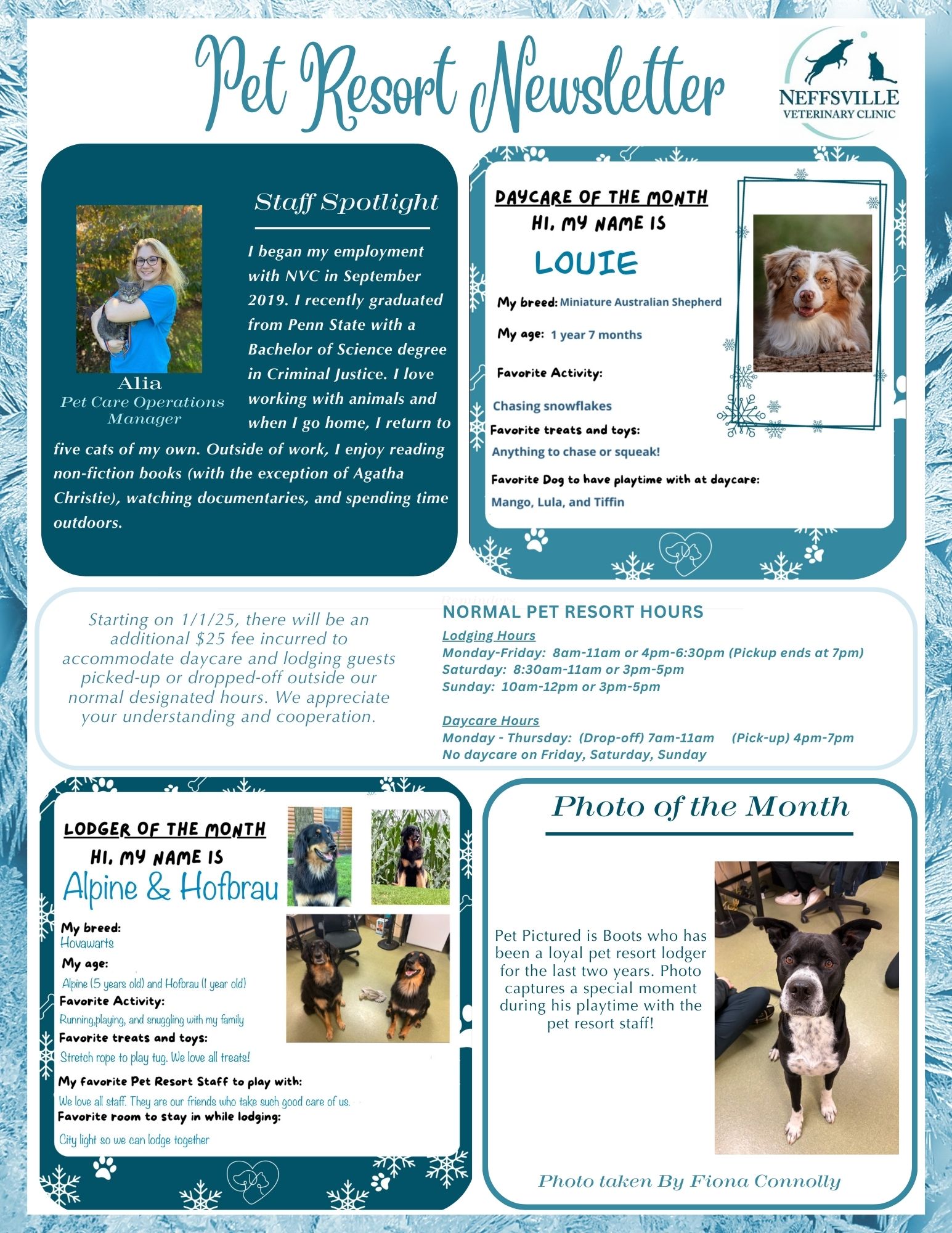 Pet Resort Newsletter Final Jan 2025