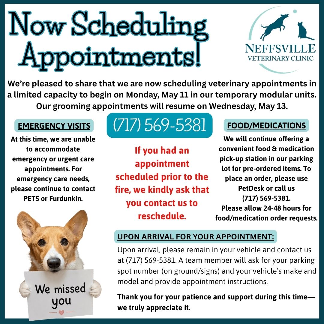 Now Scheduling Appointments